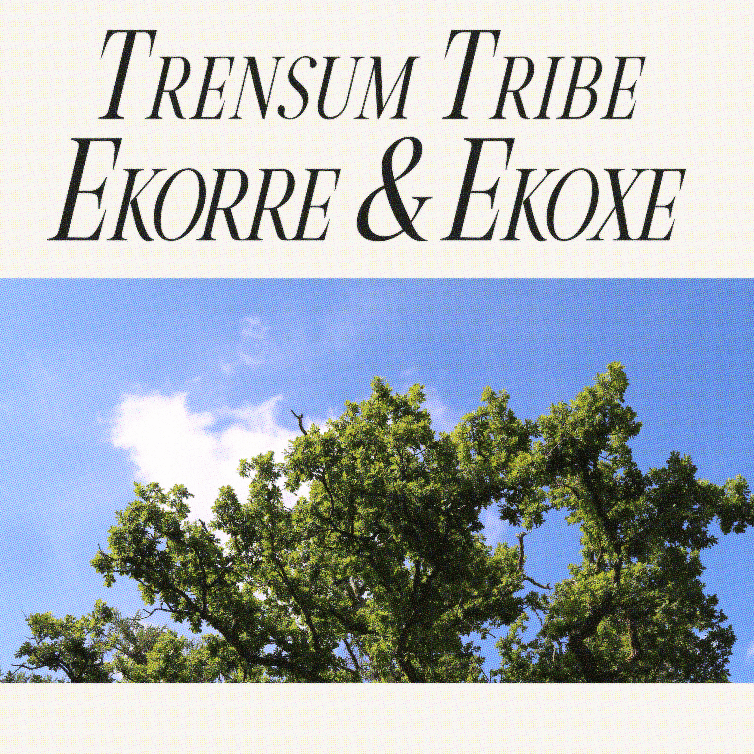 Trensum Tribe
