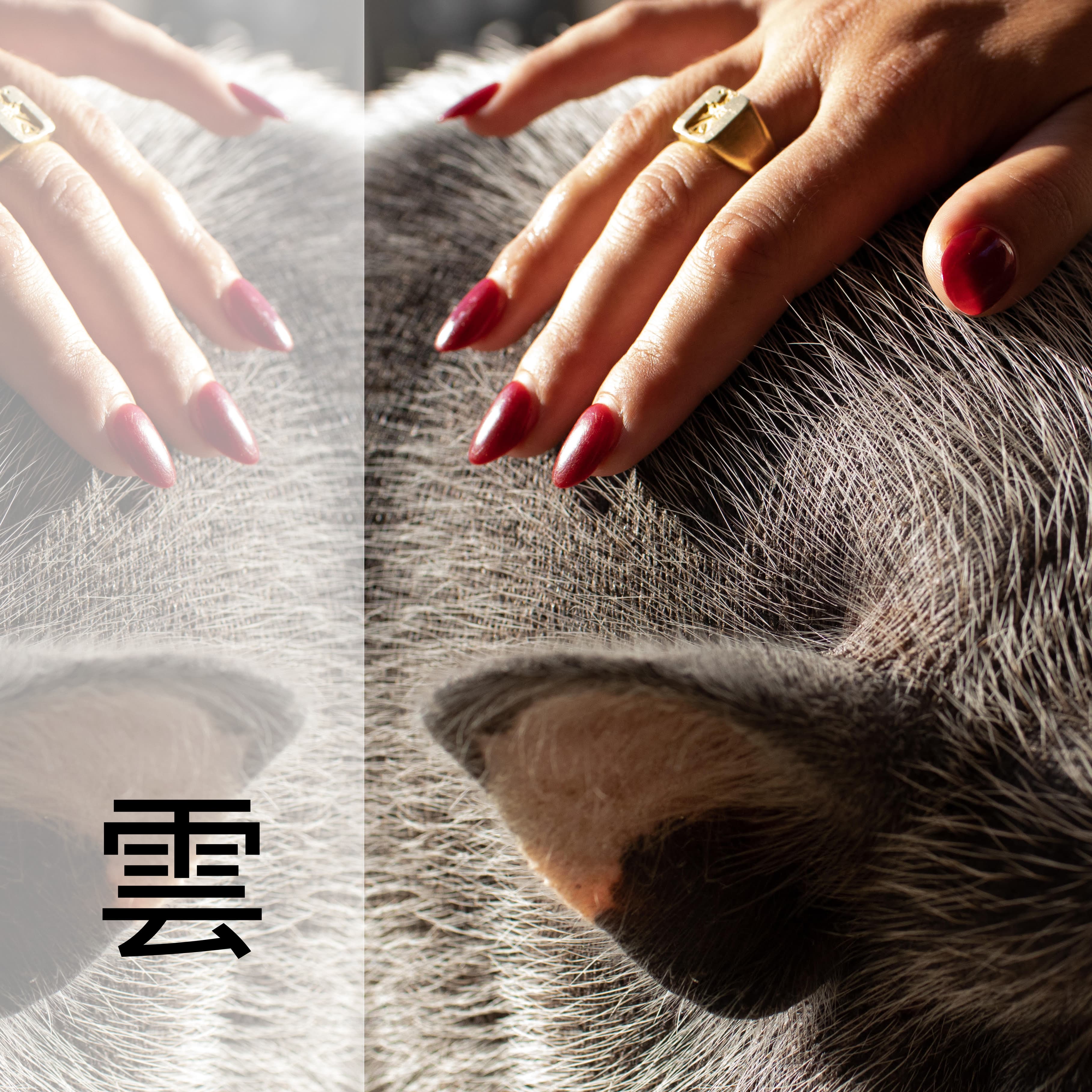 A Ingvarsson & Sabiwa -